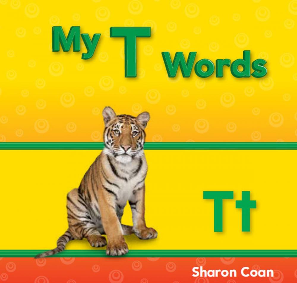 Big bigCover of My T Words