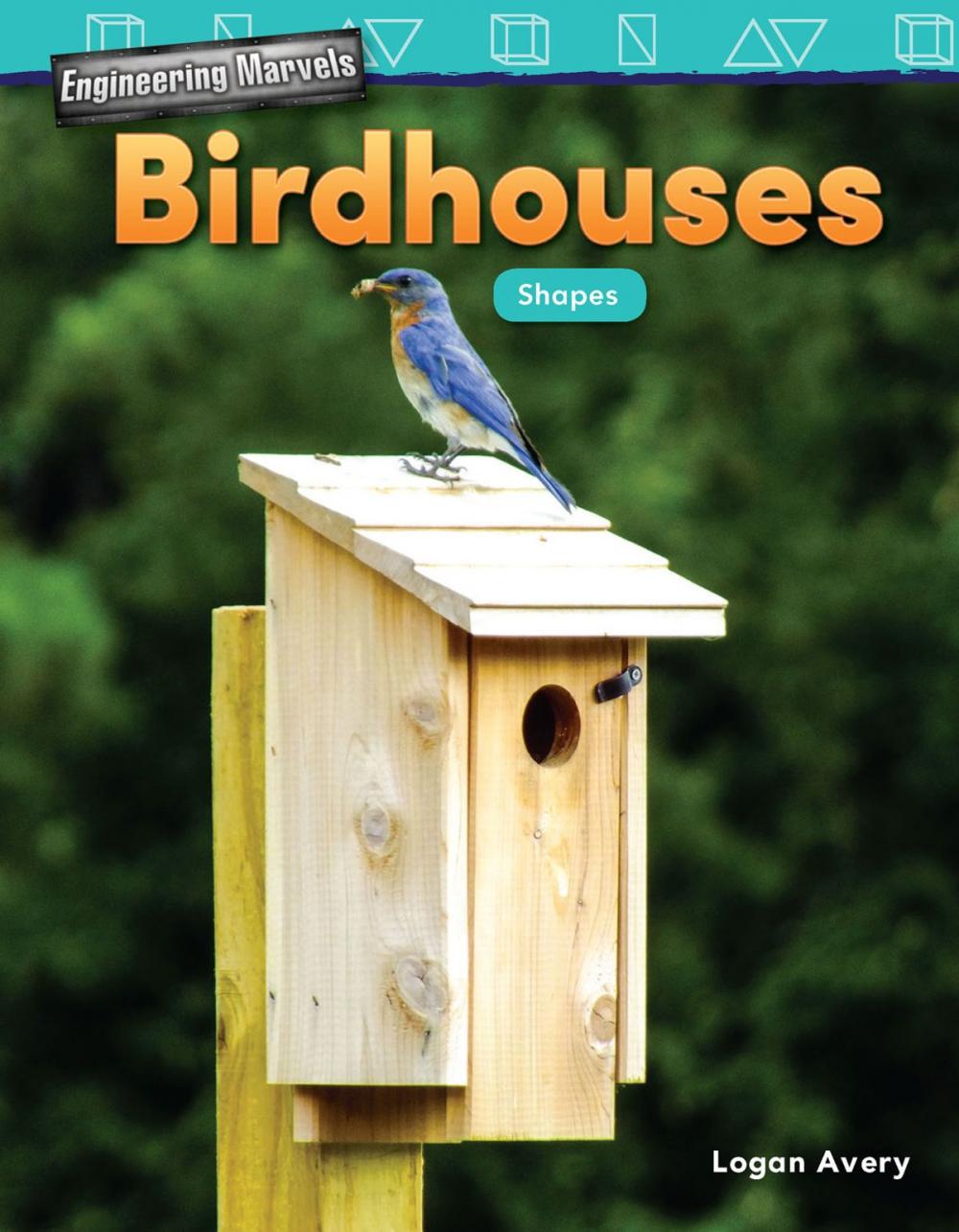 Big bigCover of Engineering Marvels: Birdhouses Shapes