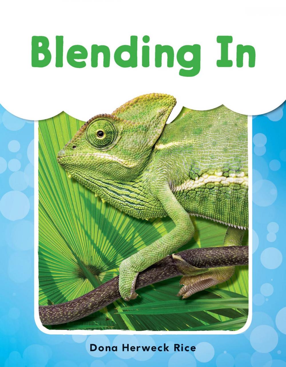 Big bigCover of Blending In