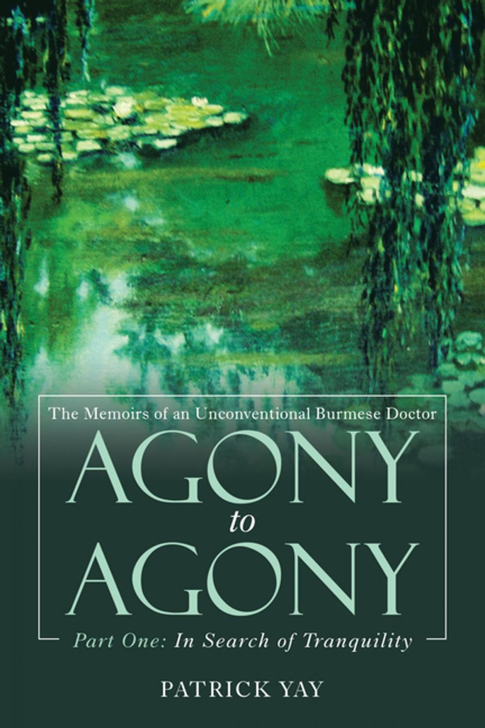 Big bigCover of Agony to Agony