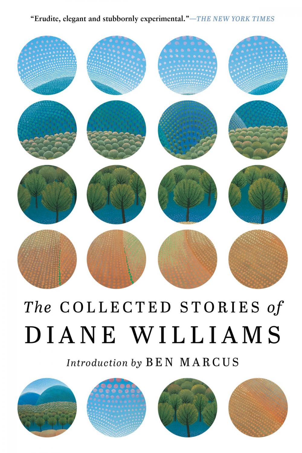 Big bigCover of The Collected Stories of Diane Williams