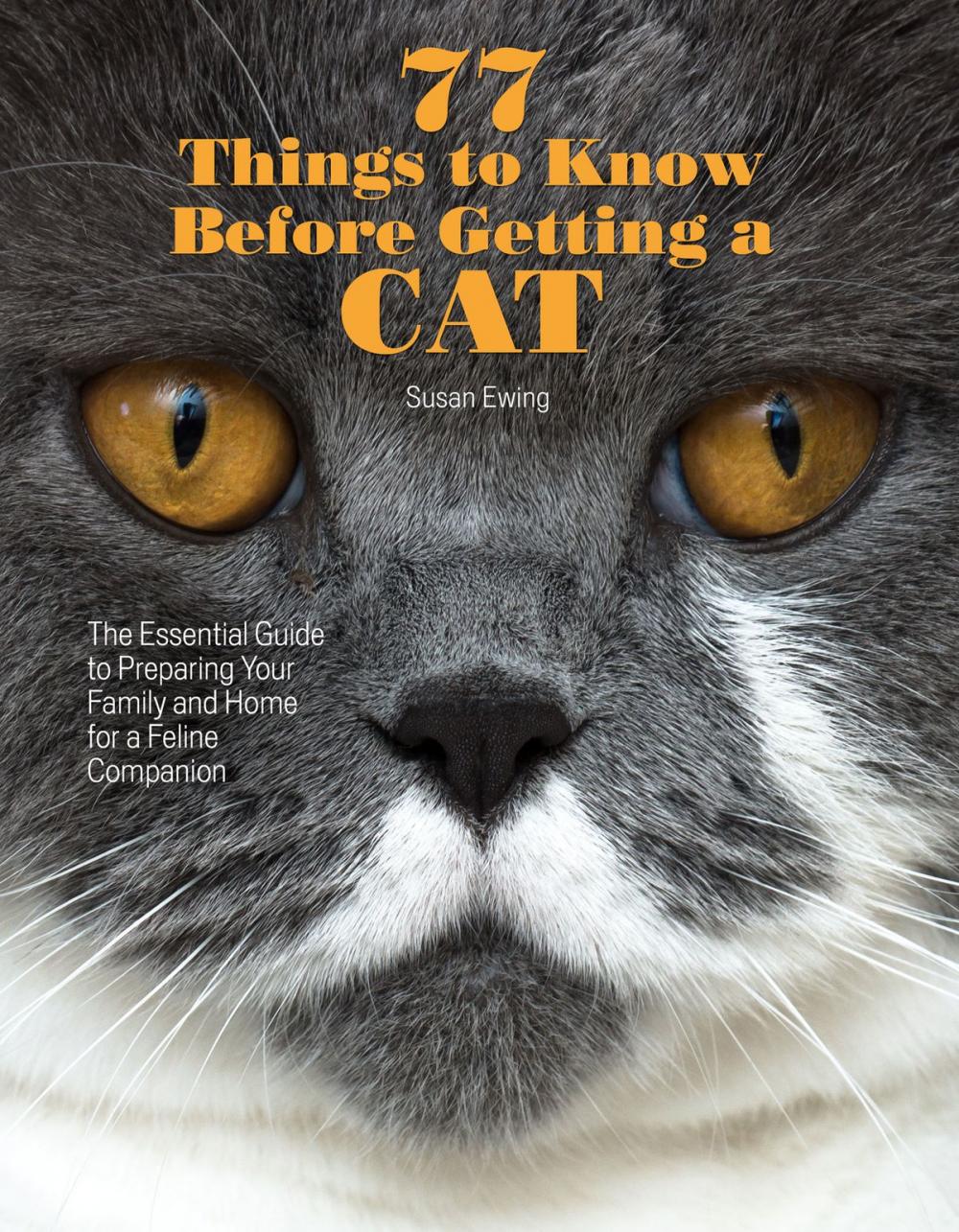 Big bigCover of 77 Things to Know Before Getting a Cat