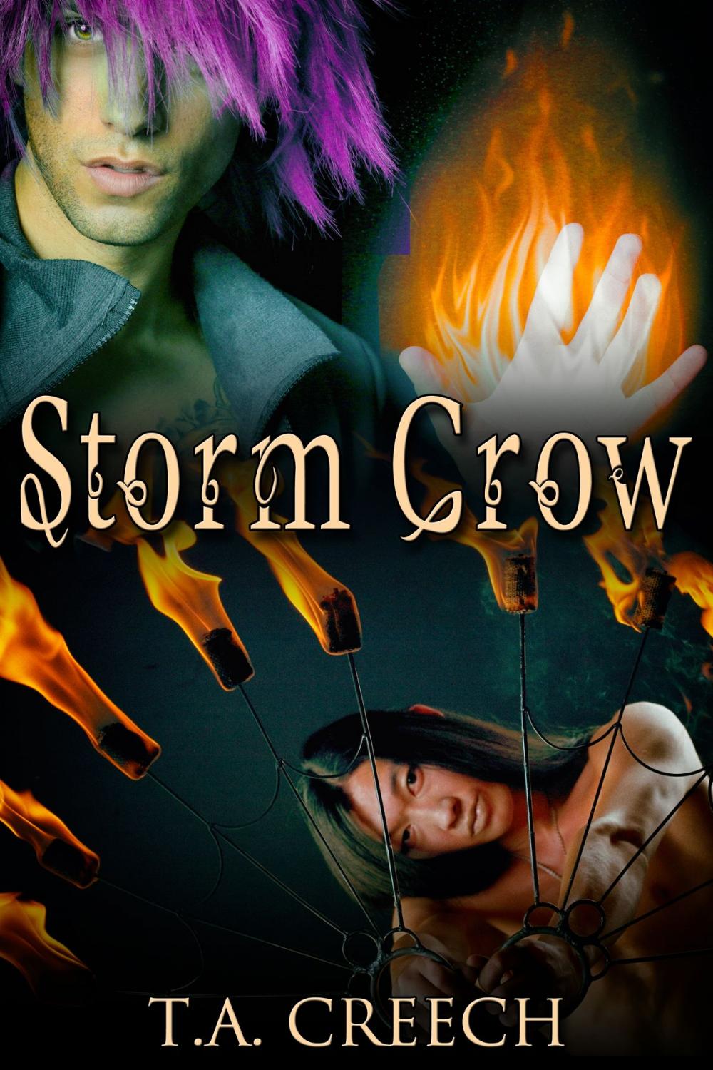 Big bigCover of Storm Crow