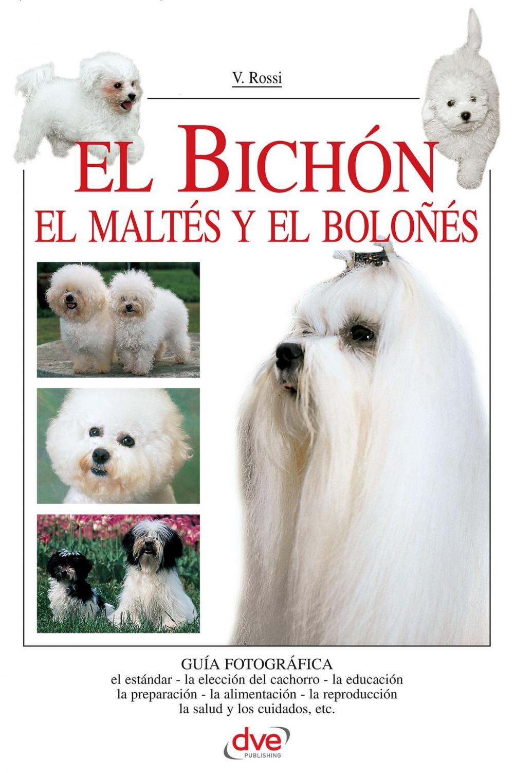 Big bigCover of El Bichón