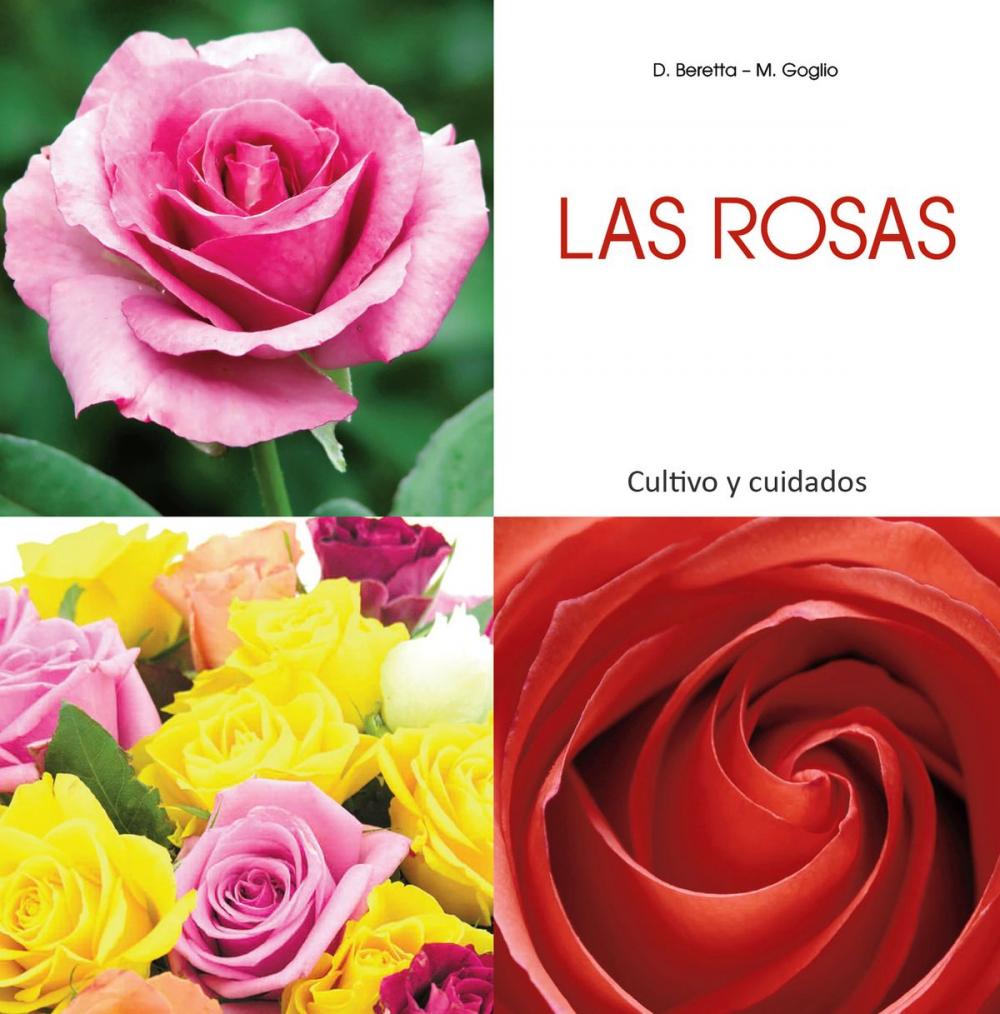 Big bigCover of Las rosas - Cultivo y cuidados