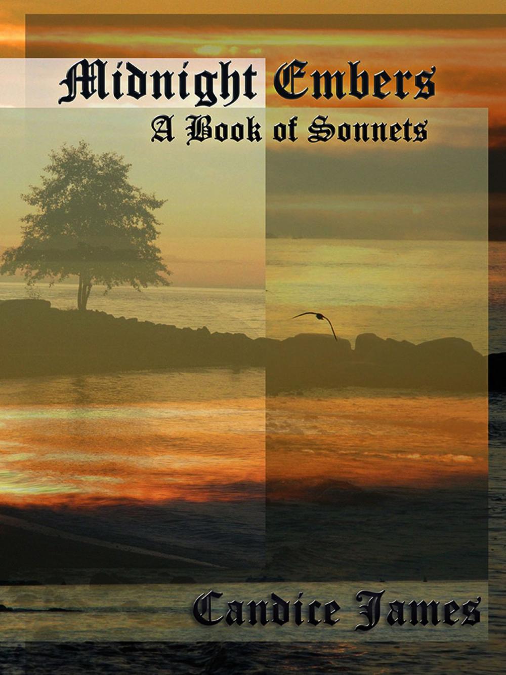 Big bigCover of Midnight Embers: A Book of Sonnets