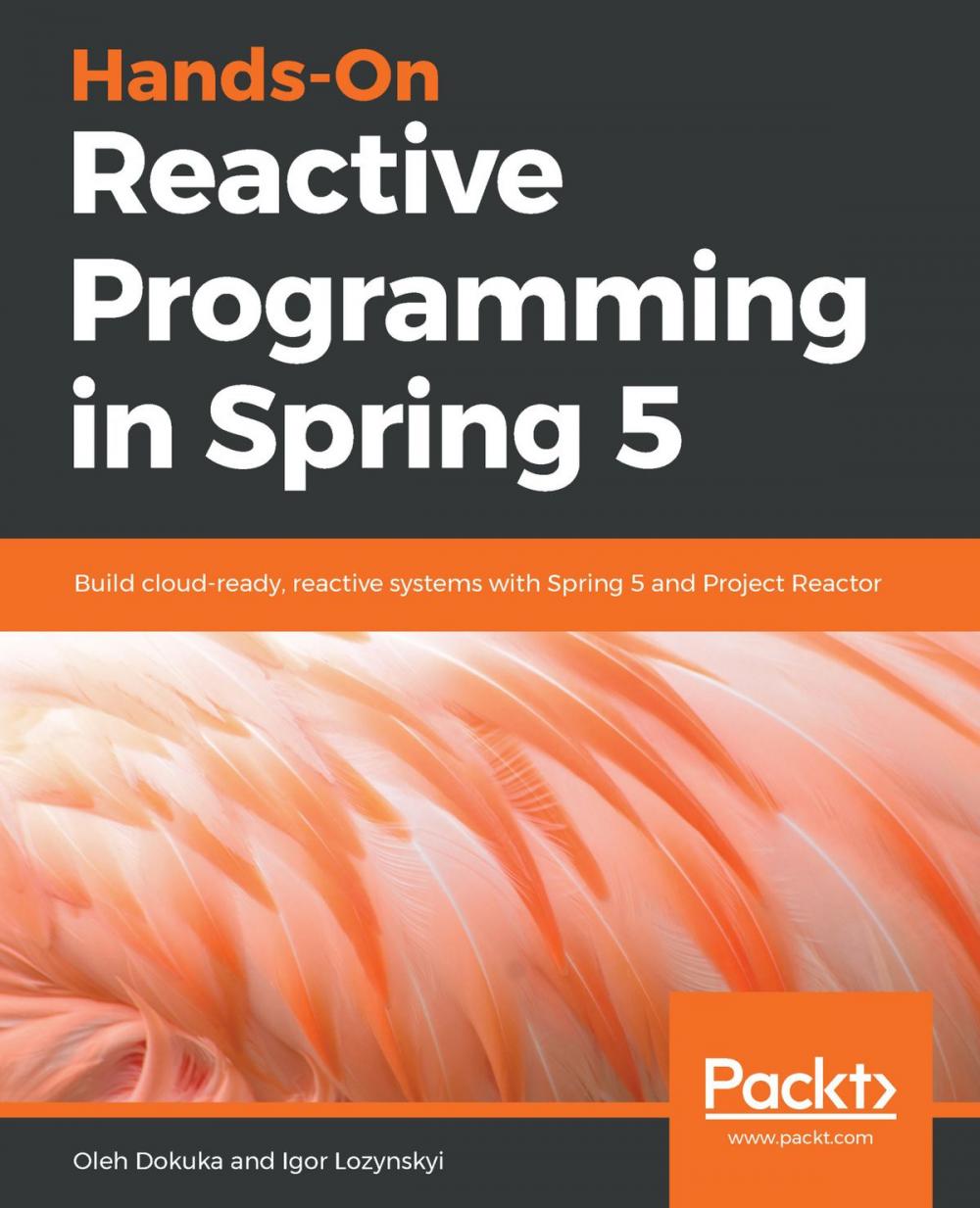 Big bigCover of Hands-On Reactive Programming in Spring 5