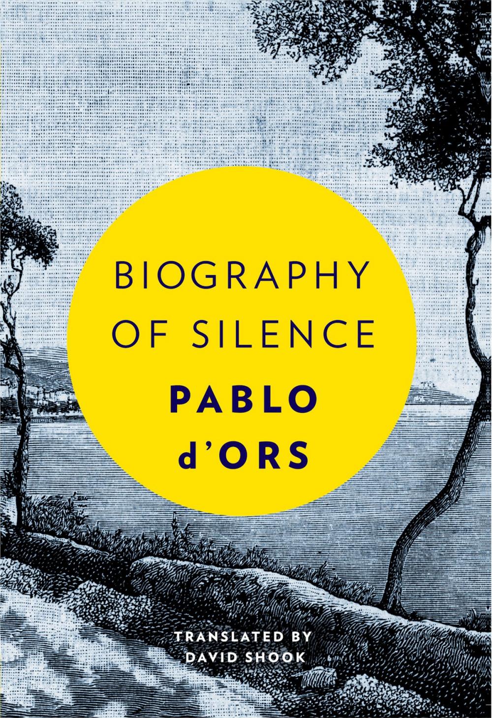 Big bigCover of Biography of Silence