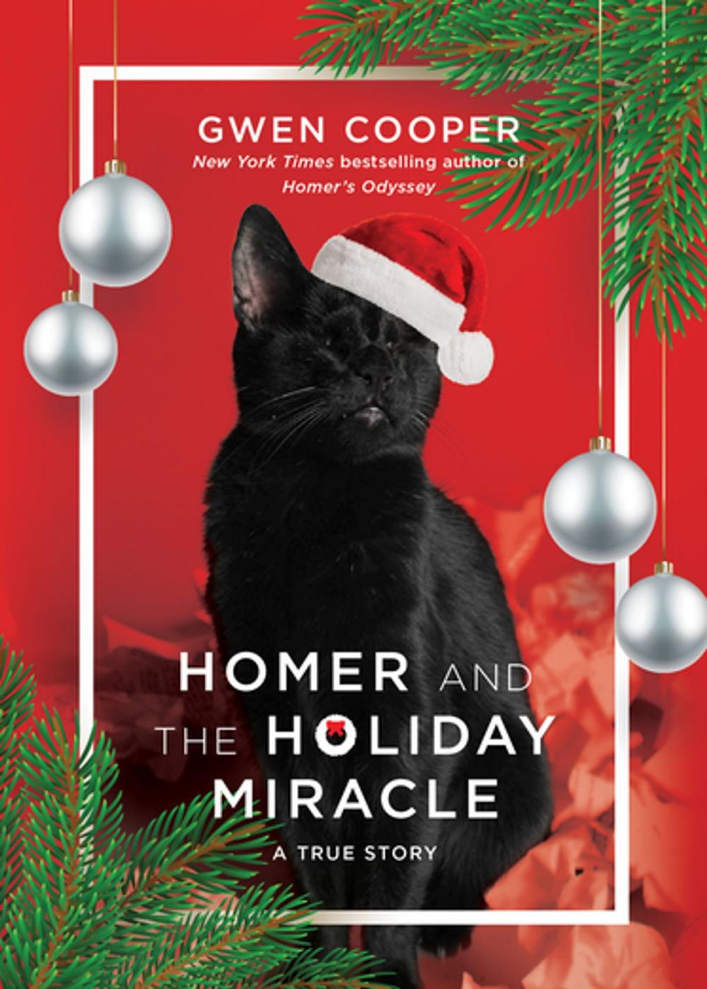 Big bigCover of Homer and the Holiday Miracle