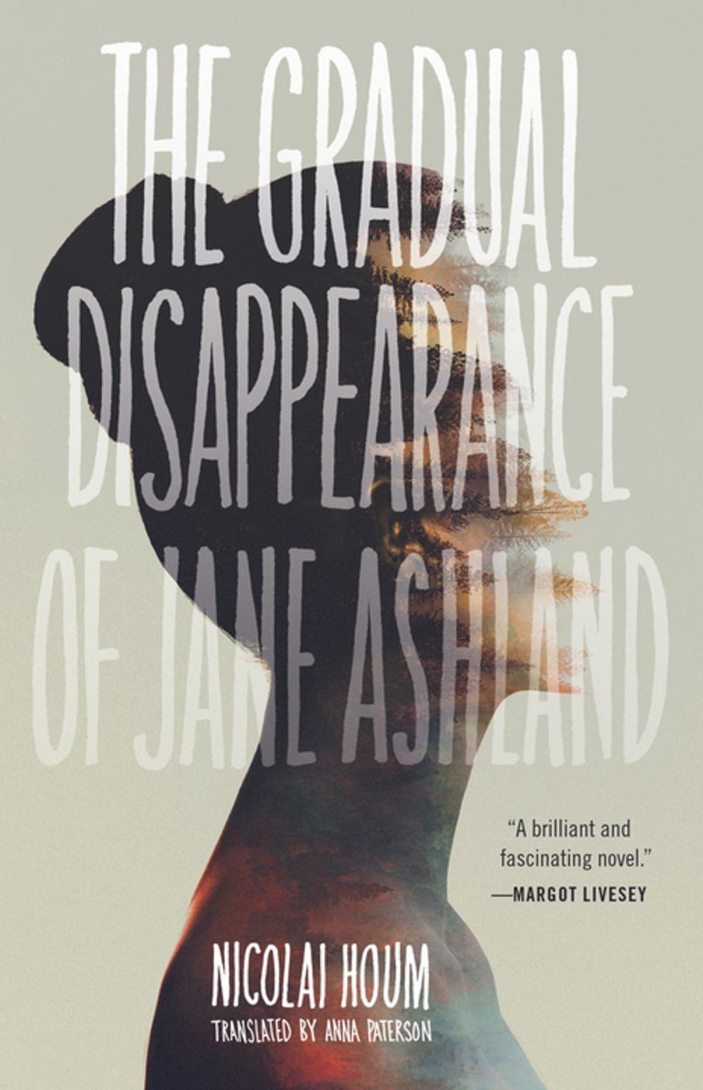 Big bigCover of The Gradual Disappearance of Jane Ashland