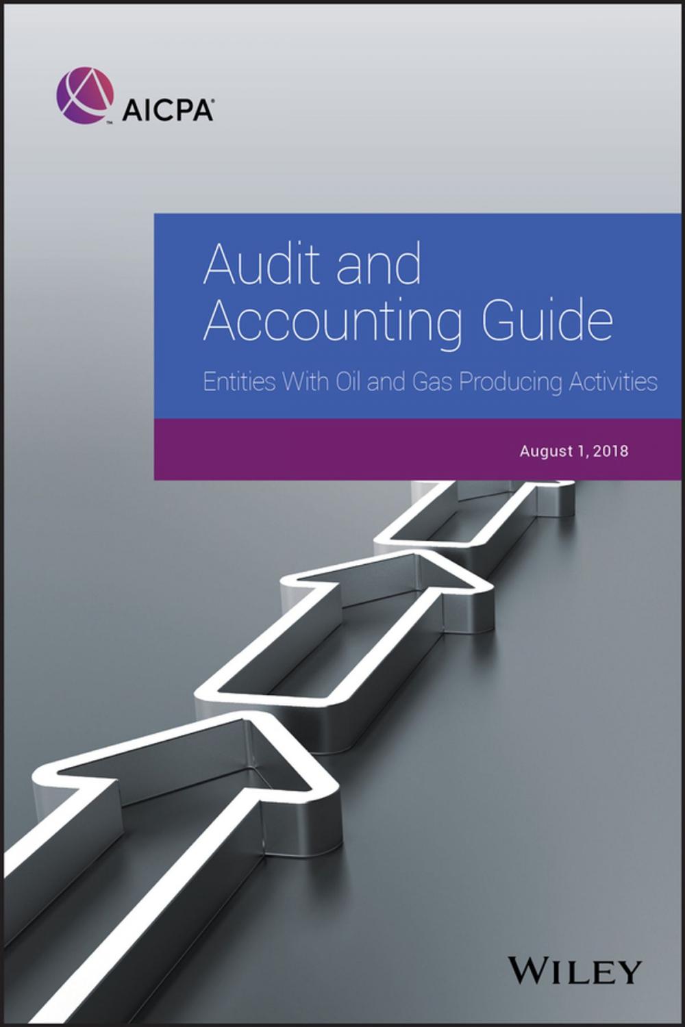 Big bigCover of Audit and Accounting Guide