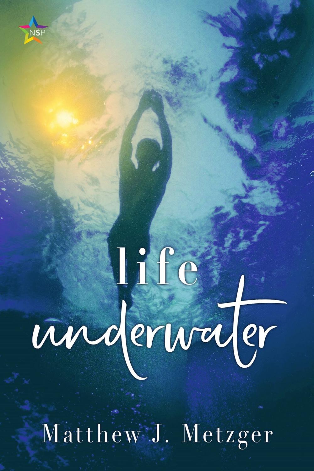 Big bigCover of Life Underwater