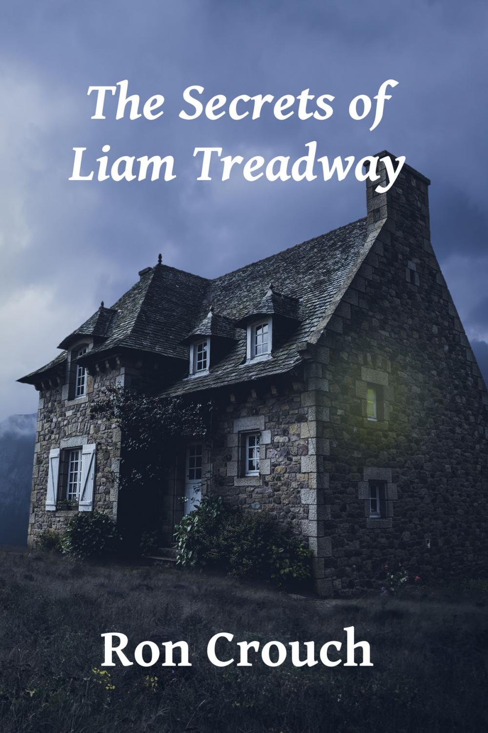 Big bigCover of The Secrets of Liam Treadway