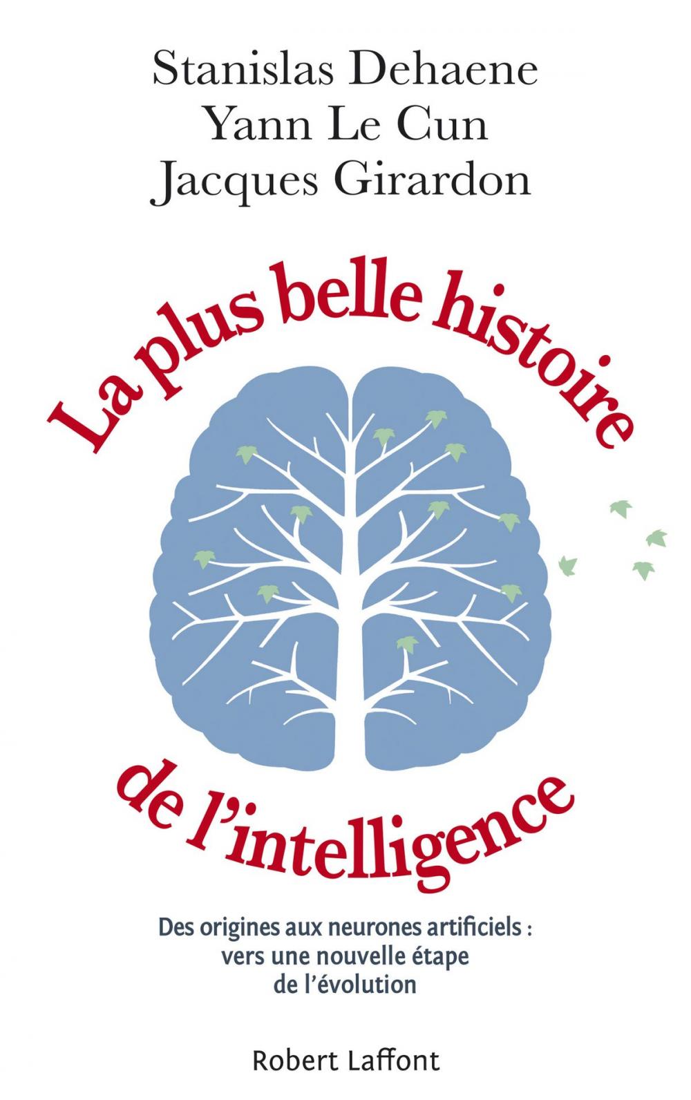 Big bigCover of La Plus Belle Histoire de l'intelligence