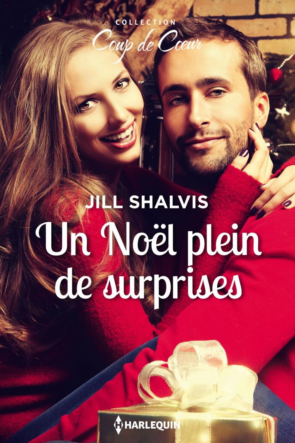 Big bigCover of Un Noël plein de surprises