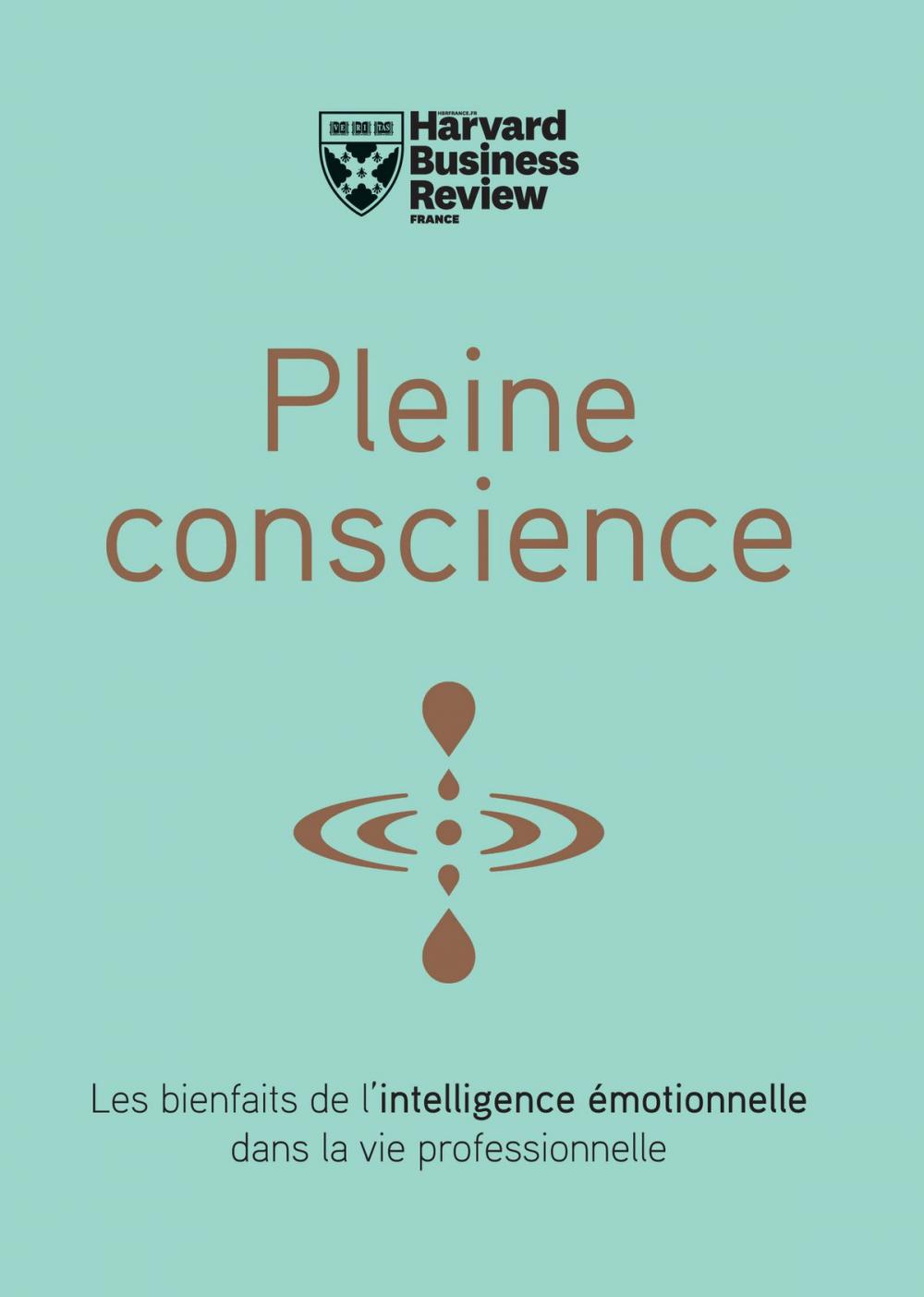 Big bigCover of Pleine conscience