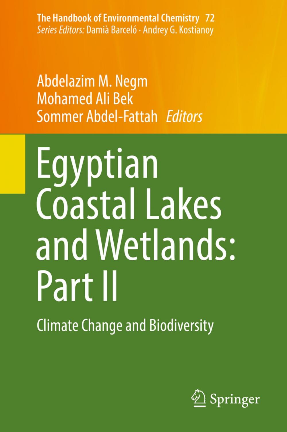 Big bigCover of Egyptian Coastal Lakes and Wetlands: Part II