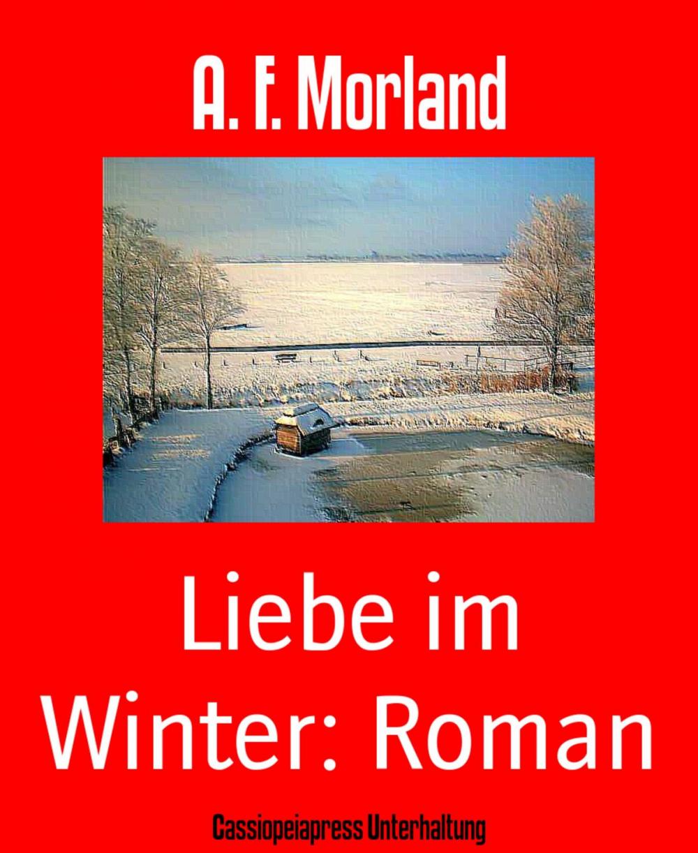 Big bigCover of Liebe im Winter: Roman