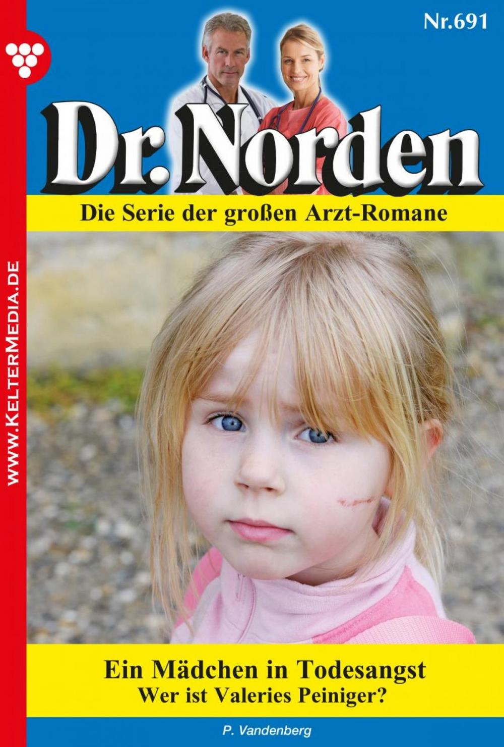 Big bigCover of Dr. Norden 691 – Arztroman