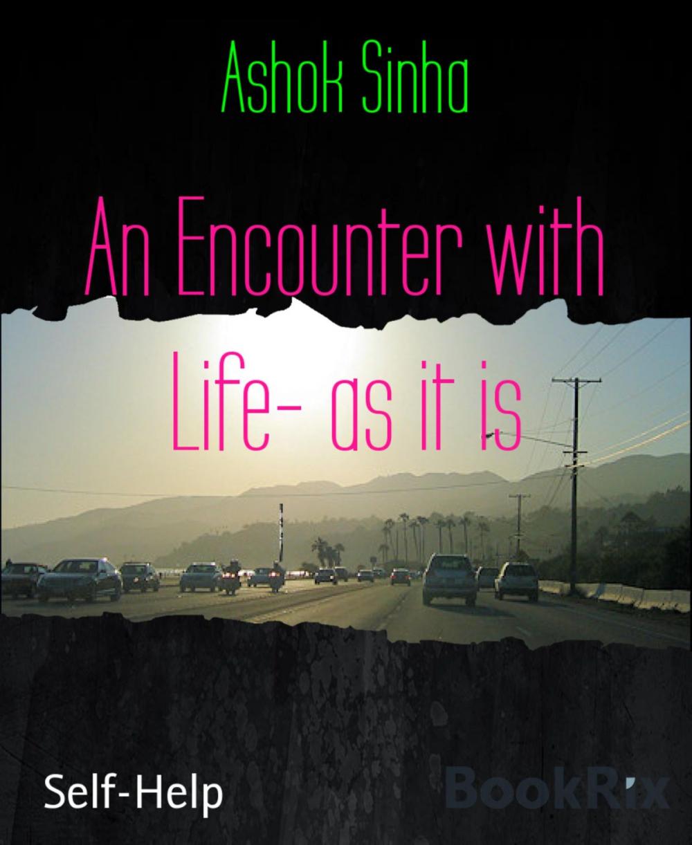 Big bigCover of An Encounter with Life- as it is