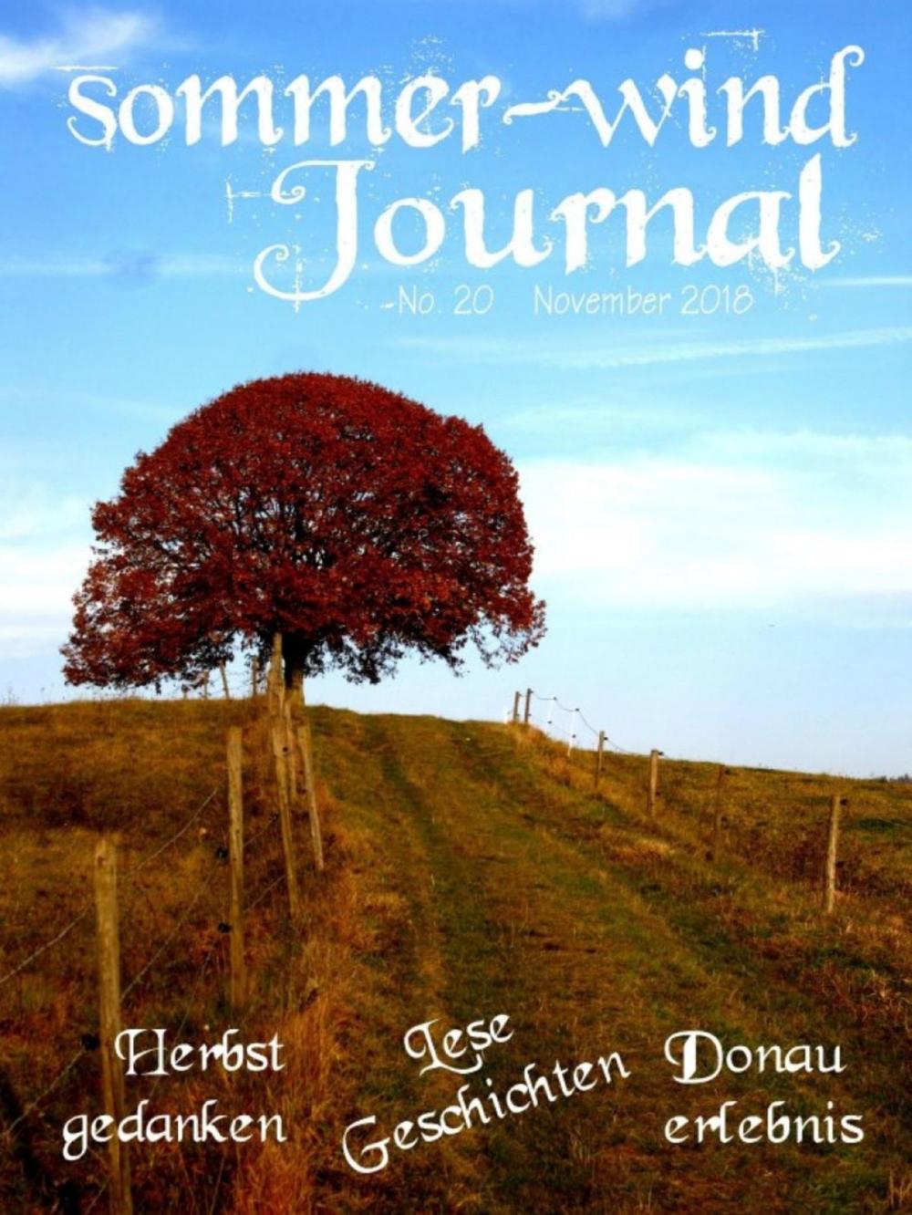 Big bigCover of sommer-wind-Journal November 2018