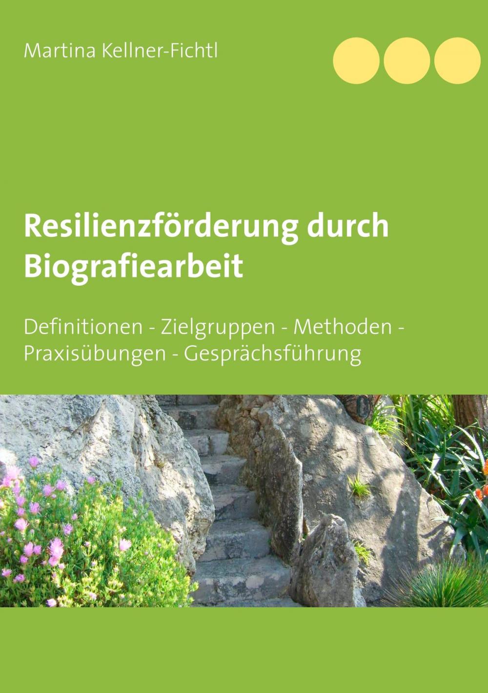 Big bigCover of Resilienzförderung durch Biografiearbeit