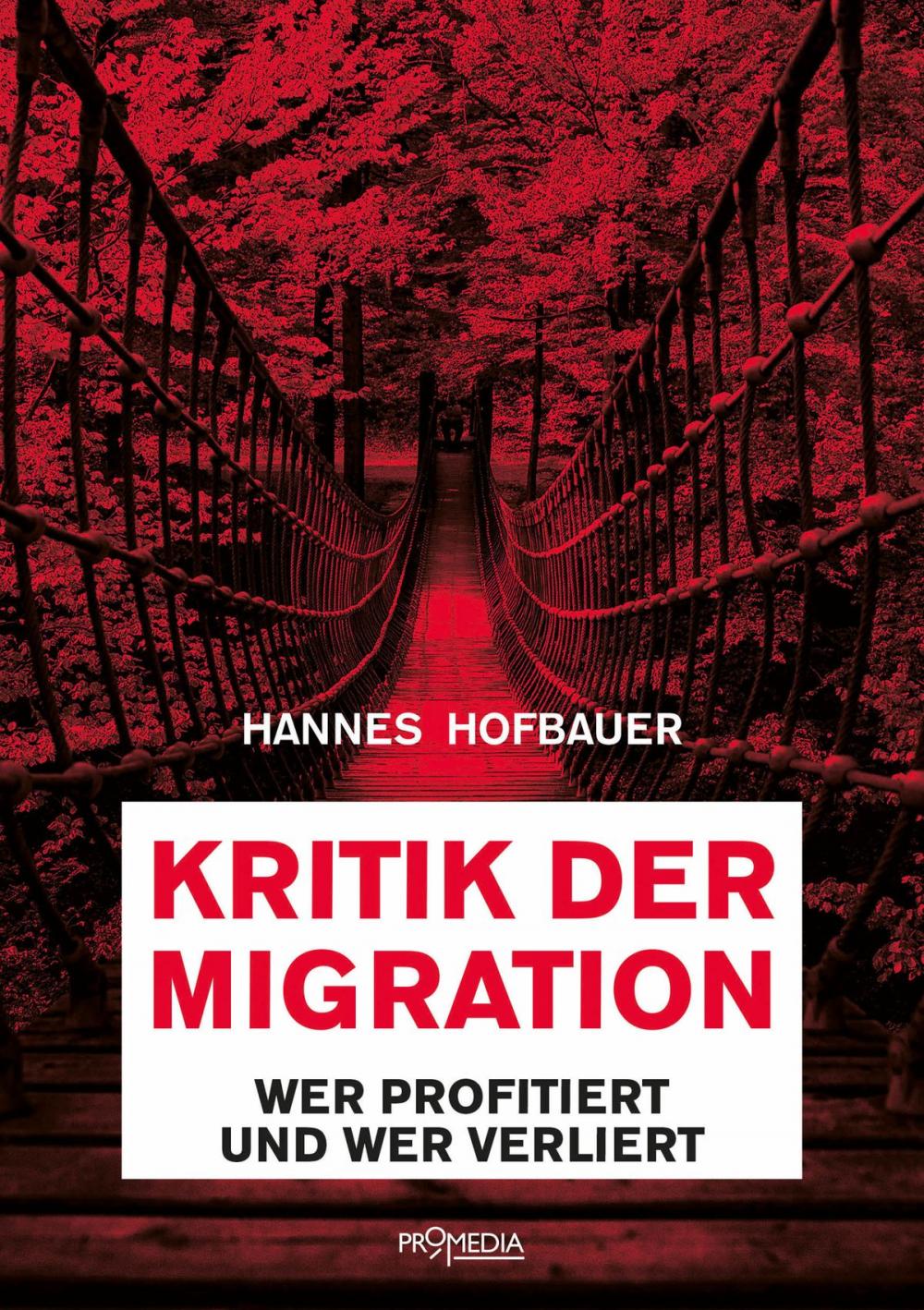 Big bigCover of Kritik der Migration