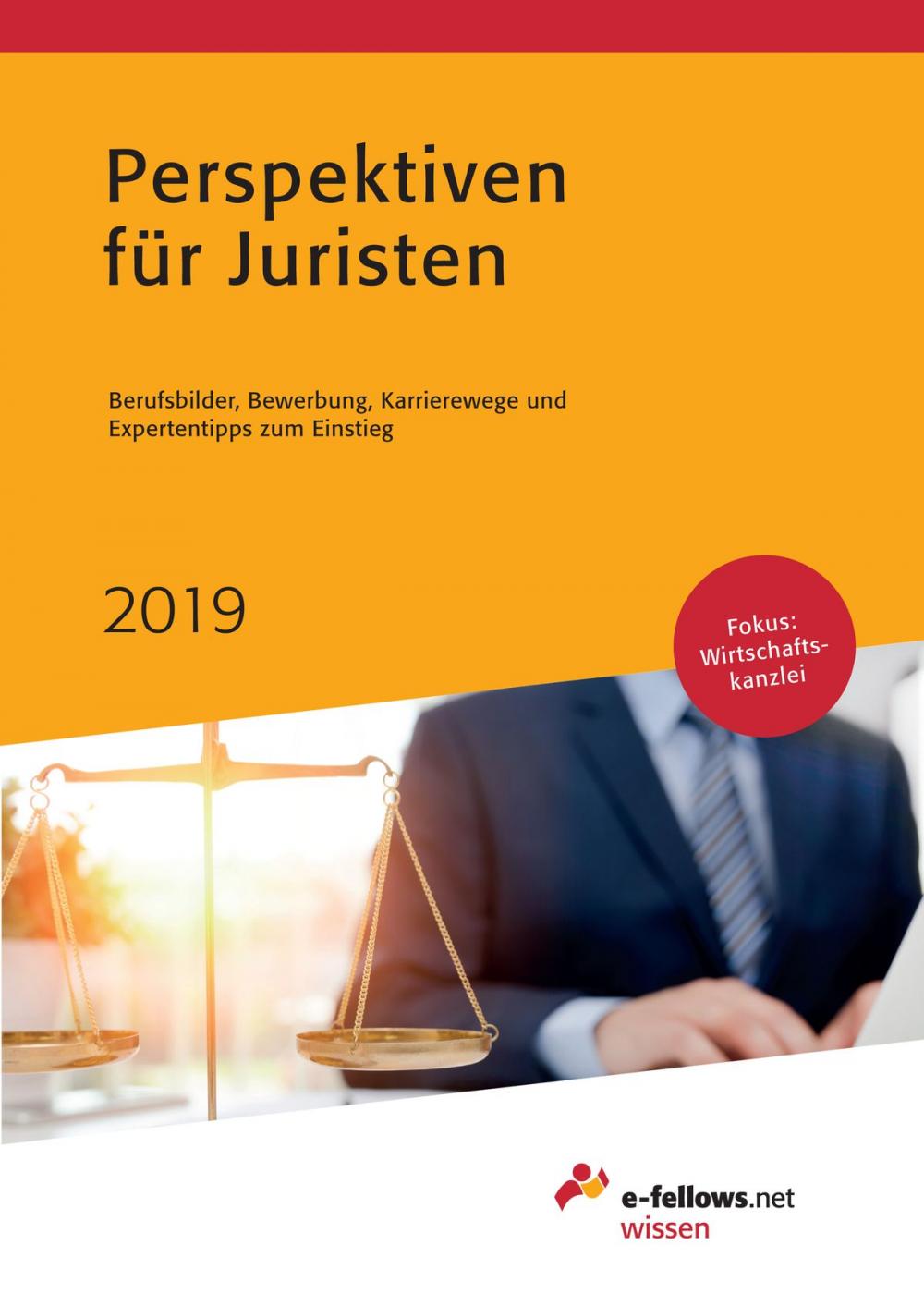 Big bigCover of Perspektiven für Juristen 2019