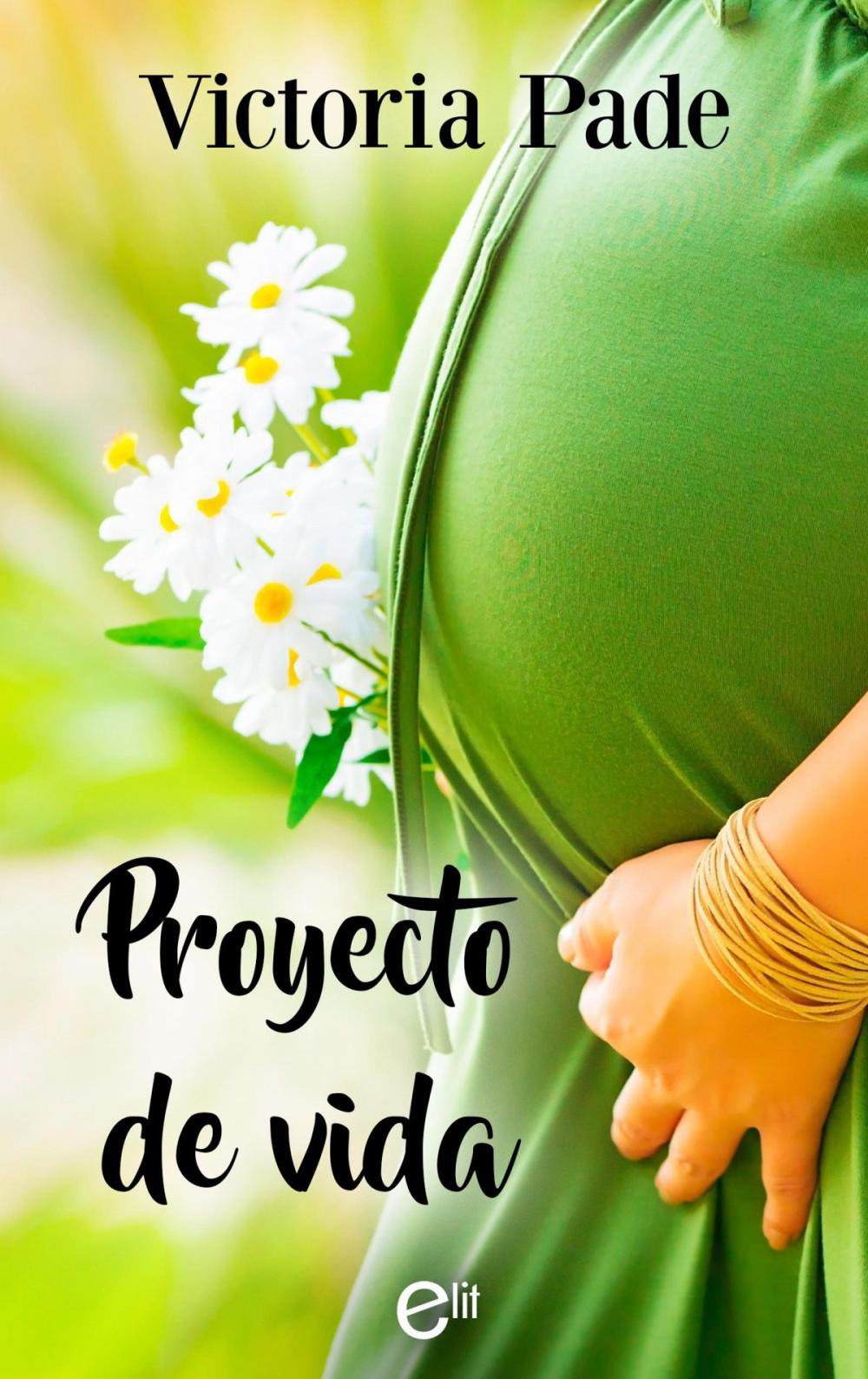 Big bigCover of Proyecto de vida