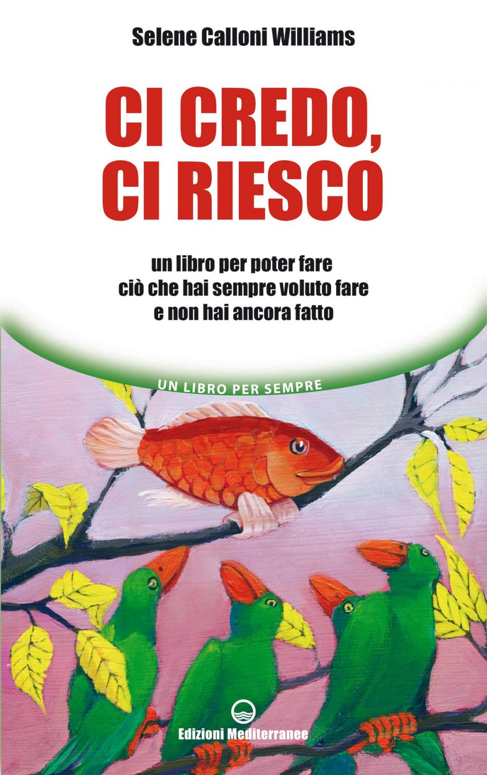 Big bigCover of Ci credo, ci riesco