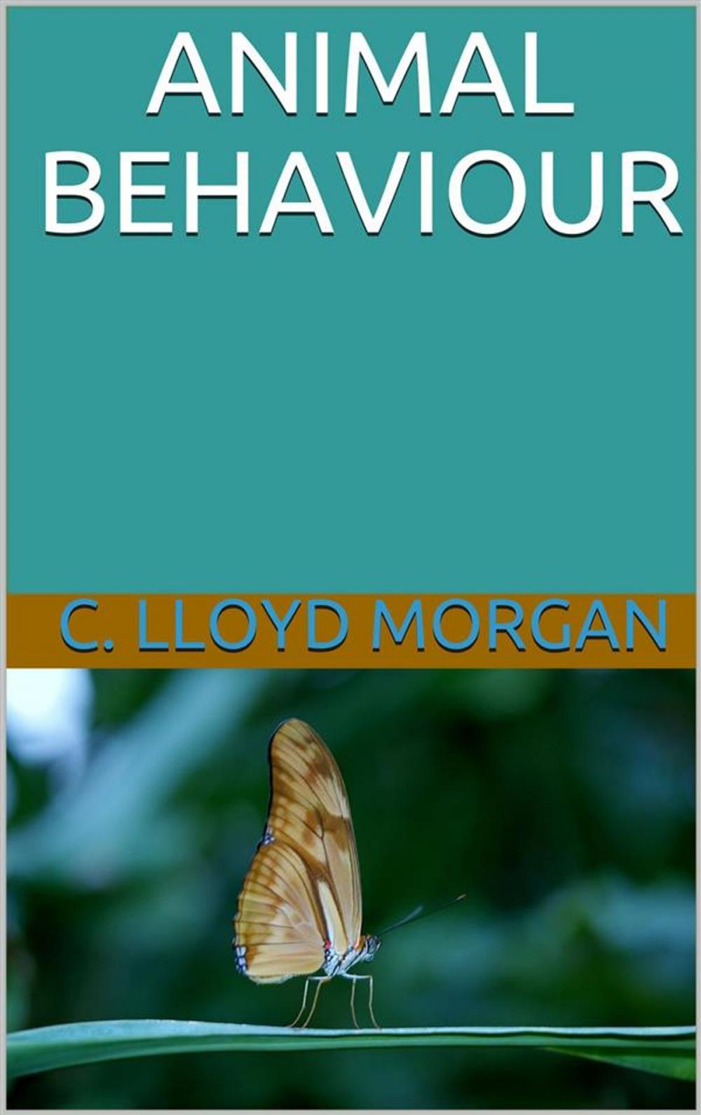 Big bigCover of Animal Behaviour