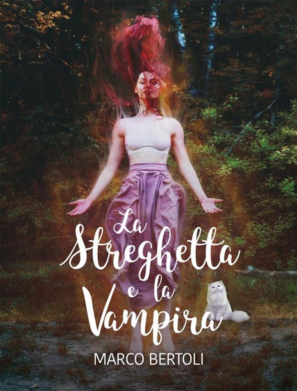 Big bigCover of La streghetta e la vampira