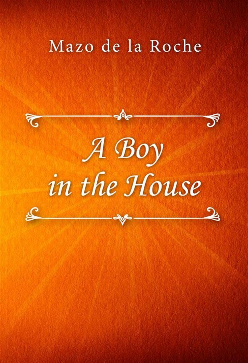 Big bigCover of A Boy in the House