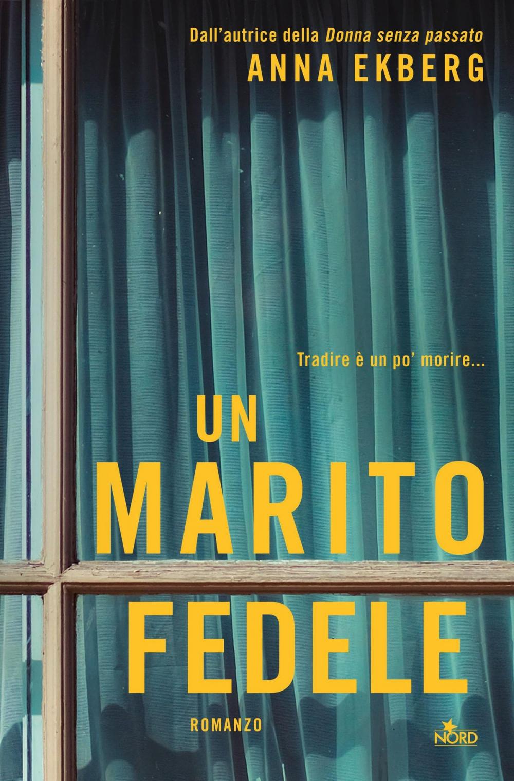 Big bigCover of Un marito fedele