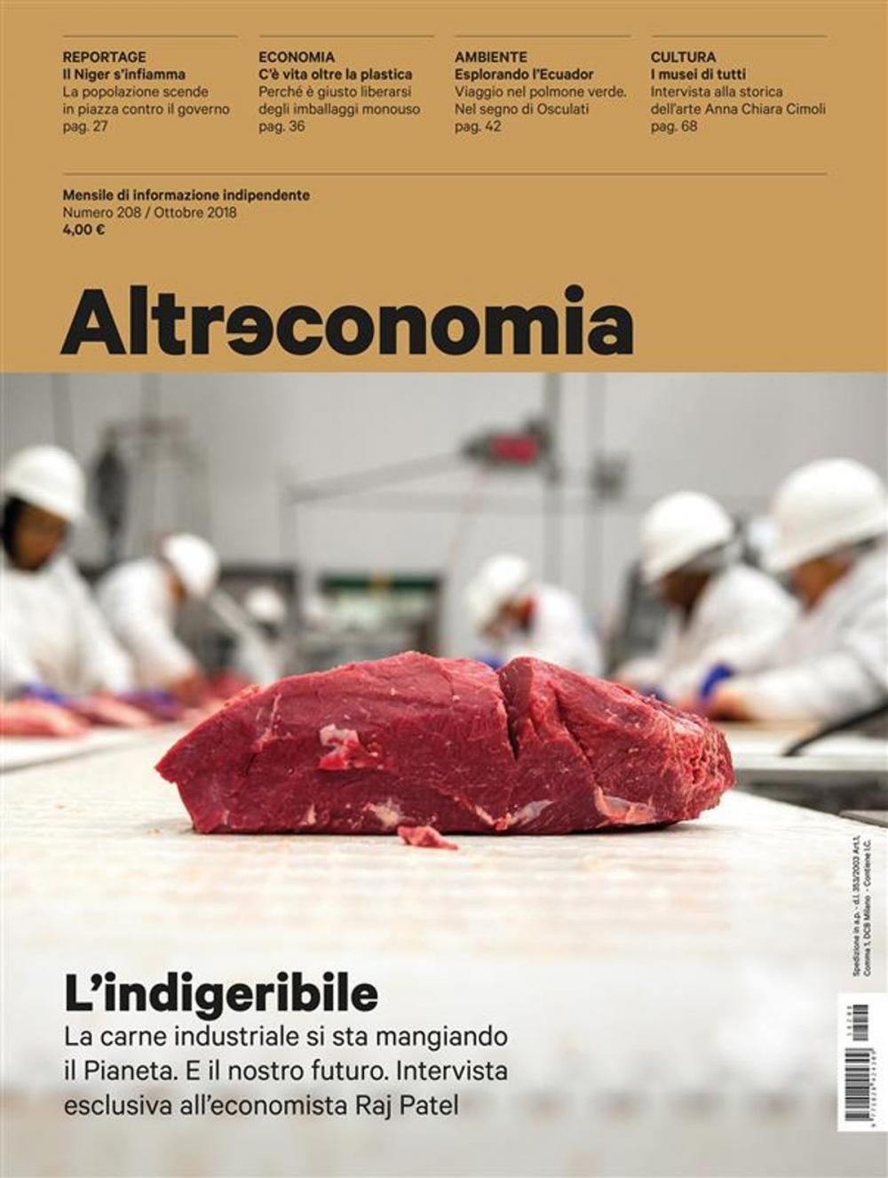 Big bigCover of Altreconomia 208 - Ottobre 2018