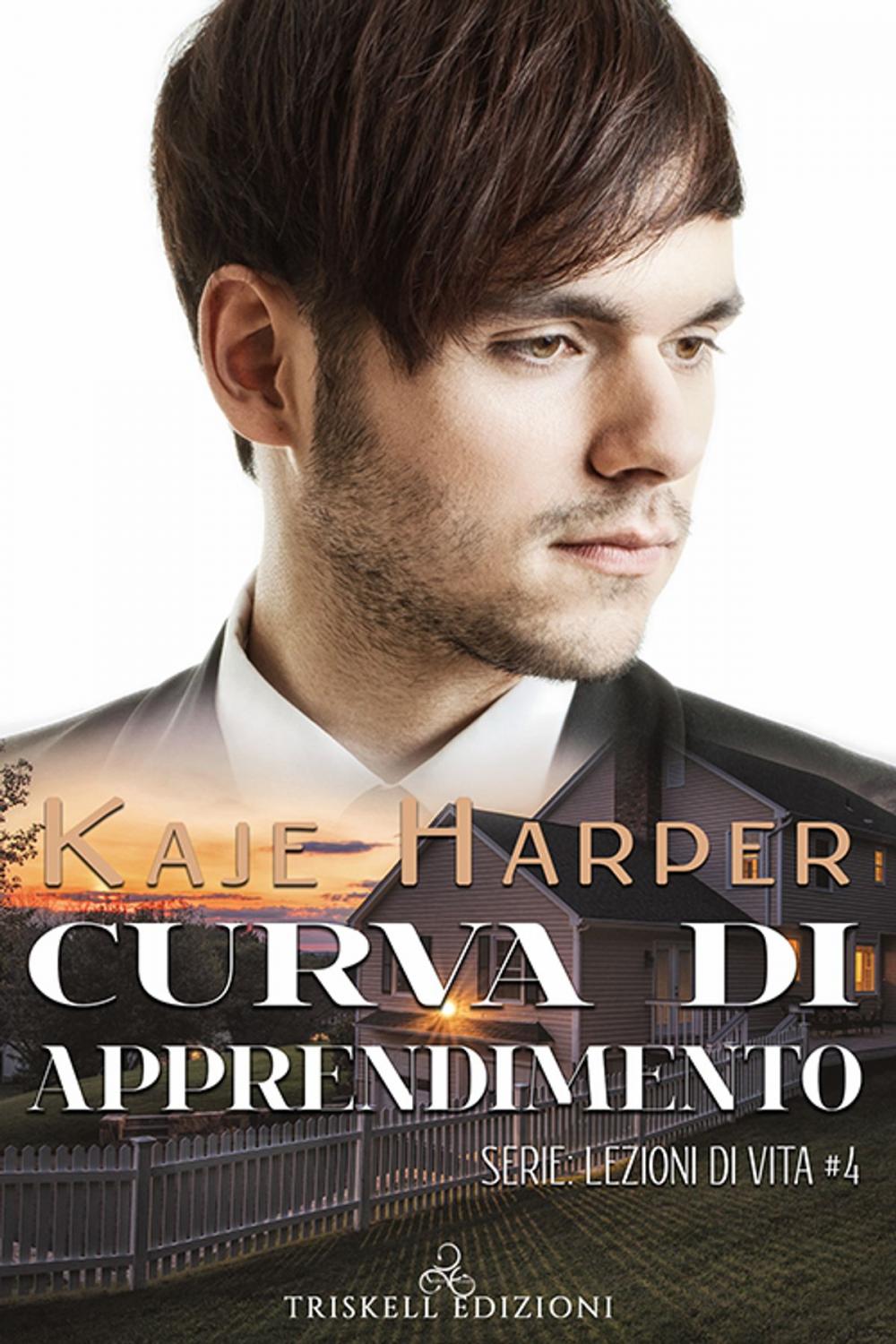 Big bigCover of Curva di apprendimento