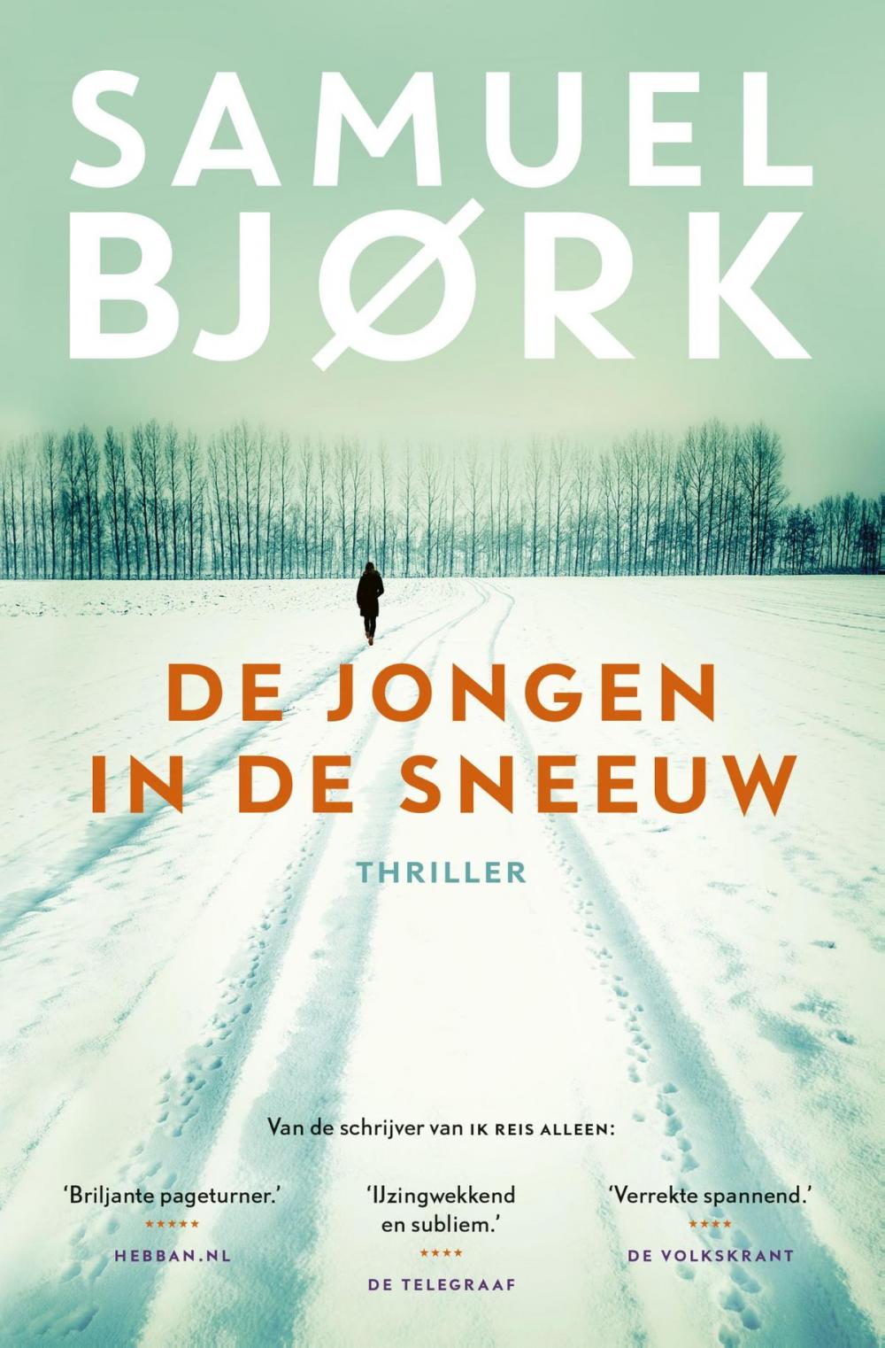 Big bigCover of De jongen in de sneeuw