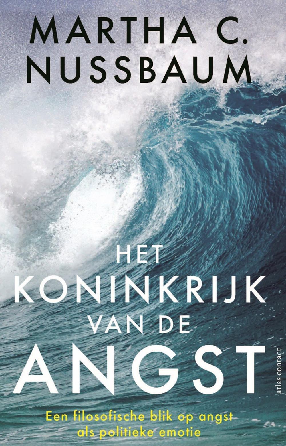 Big bigCover of Het koninkrijk van de angst