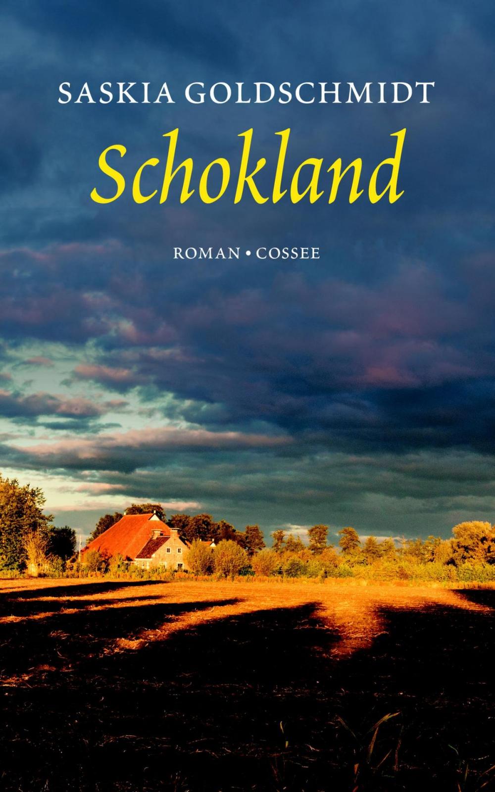 Big bigCover of Schokland