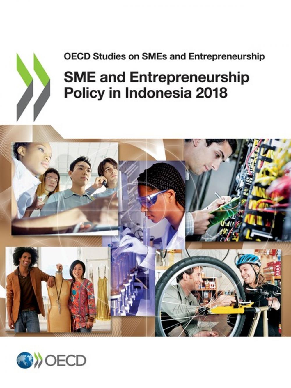 Big bigCover of SME and Entrepreneurship Policy in Indonesia 2018