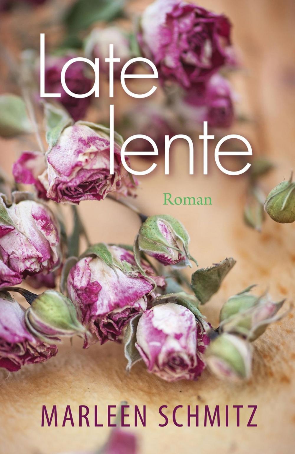 Big bigCover of Late lente