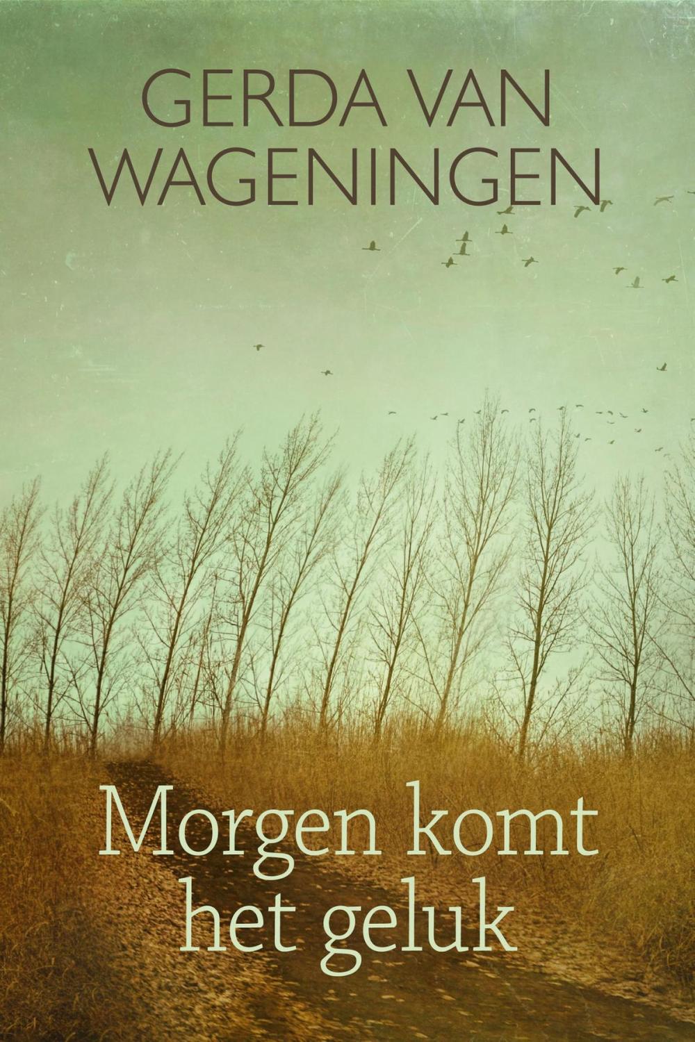 Big bigCover of Morgen komt het geluk