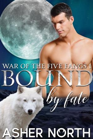 Cover of the book Bound by Fate by Ava Stone, Jerrica Knight-Catania, Jane Charles