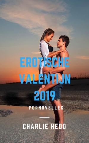 Cover of the book Erotische Valentijn 2019 by Sylvia Dubois