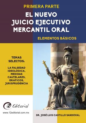 Cover of El nuevo Juicio Ejecutivo Mercantil Oral: Parte 1