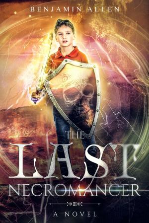 Cover of The Last Necromancer