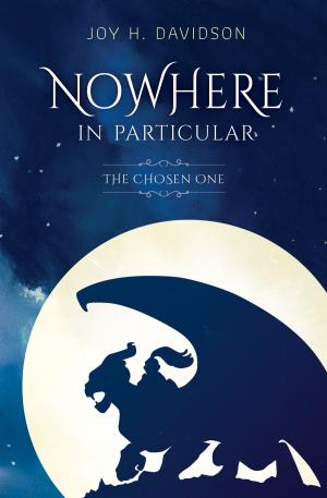 Cover of the book Nowhere in Particular by Erin A Jensen