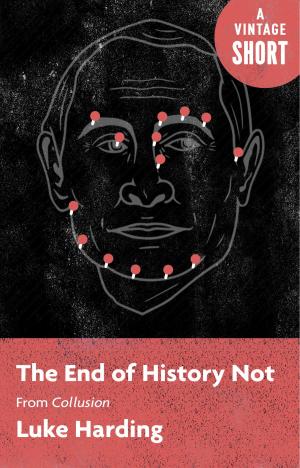 Cover of the book The End of History Not by Munir Moon
