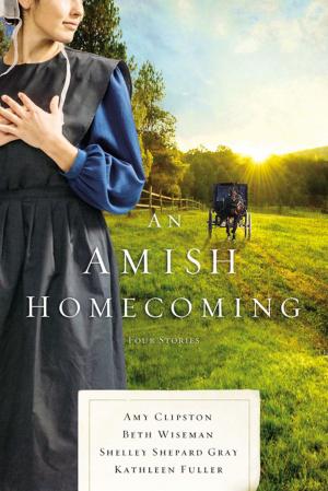 Cover of the book An Amish Homecoming by Robin Lee Hatcher