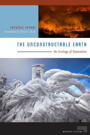 Cover of the book The Unconstructable Earth by Kristina Mendicino